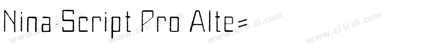 Nina Script Pro Alte字体转换